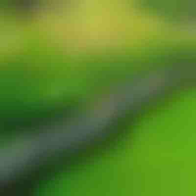 Bordas de jardim estilo pedra (10 Unid.) | MINIFENCE